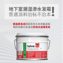 悍能(hahne)德国原装进口地下室防潮负水压防水涂料LF41环氧背水面防水材料 地下室50㎡防水防潮套餐